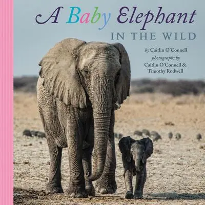 A Baby Elephant In The Wild – Wildlife Photography Storybook 1