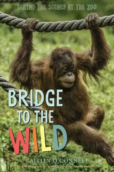 Bridge To The Wild – Nature Adventure Picture Book 1