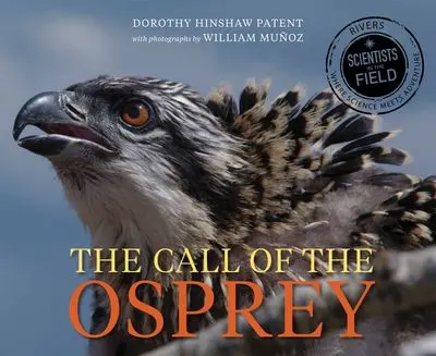 Call Of The Osprey: A Nature-Themed Middle-Grade Mystery 1