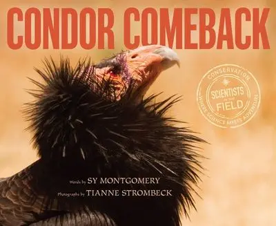 Condor Rising: A Conservation Success Story 1