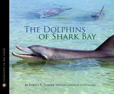 Dolphins Of Shark Bay: Marine Life In Western Australia 1
