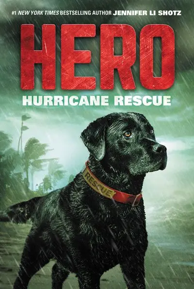 Hero: Hurricane Rescue – A Thrilling Chapter Book 1