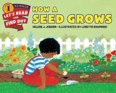 How A Seed Grows: Nature'S Life Cycle Explained 1