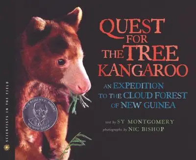 In Search Of The Elusive Tree Kangaroo 1