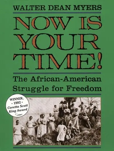 Now Is Your Time! – The African-American Struggle For Freedom 1