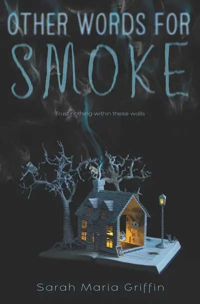 Other Words For Smoke: A Contemporary Ya Novel 1
