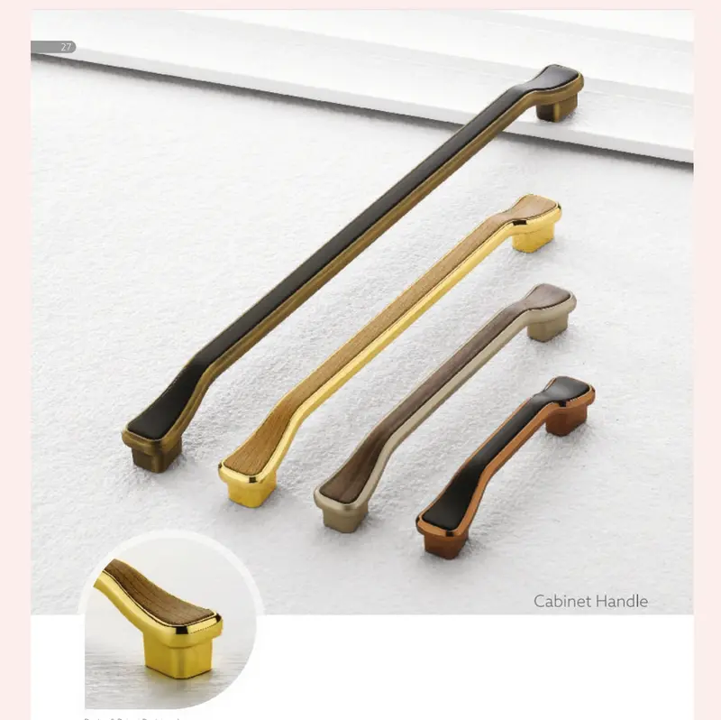 Poins Versatile Door Handle – Model 856 1