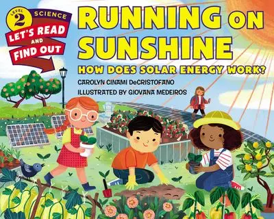 Running On Sunshine: A Story Of Joy And Energy 1
