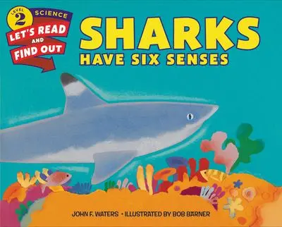 Sharks Have Six Senses: Marine Biology Facts For Curious Kids 1