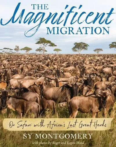 The Magnificent Migration: A Journey Across Continents 1
