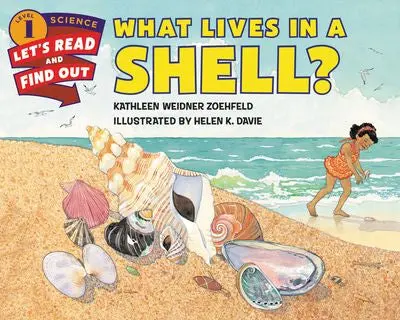 What Lives Inside A Shell? Discovering Marine Life 1