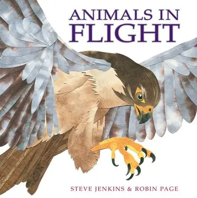 Wildlife In Motion: Animals That Fly 1