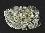 Woodland Scenics Wind Rock Mold – 5" × 7" (Wds1237) 1